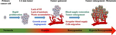 Application of Advanced Mass Spectrometry-Based Proteomics to Study Hypoxia Driven Cancer Progression